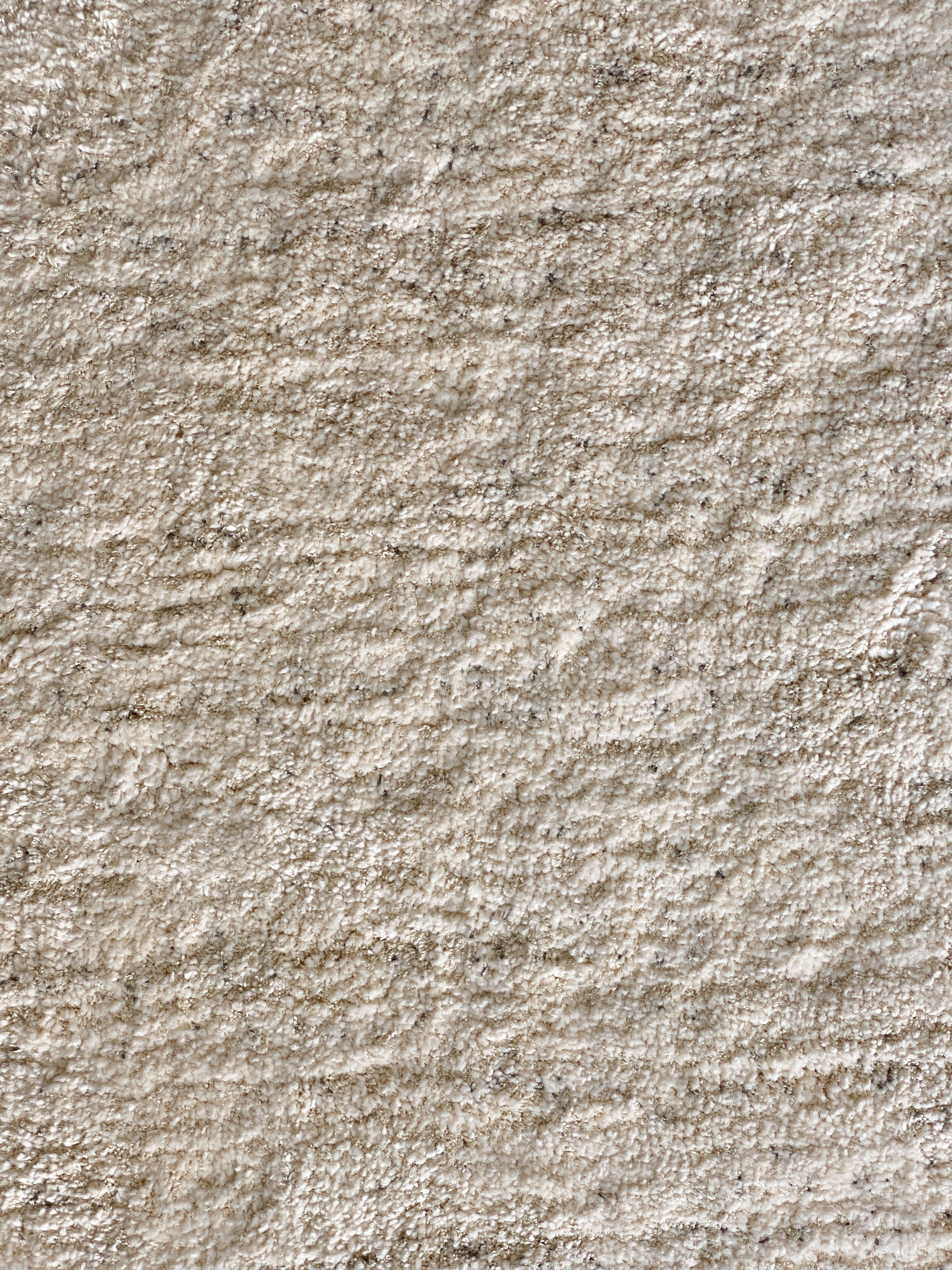 벨기에 BALTA 코지 러그 거실 카페트 사계절 고밀도