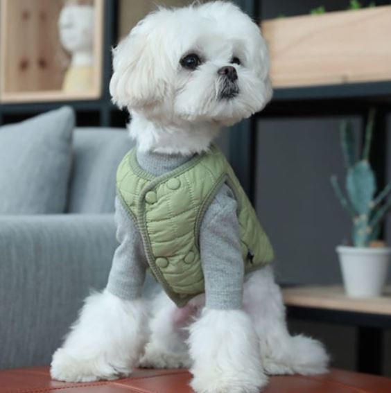 (노마진 땡처리) CP-145 애견 강아지옷 겨울옷 기모 깔깔이 누빔 단추 조끼 기모 퀄팅 패딩