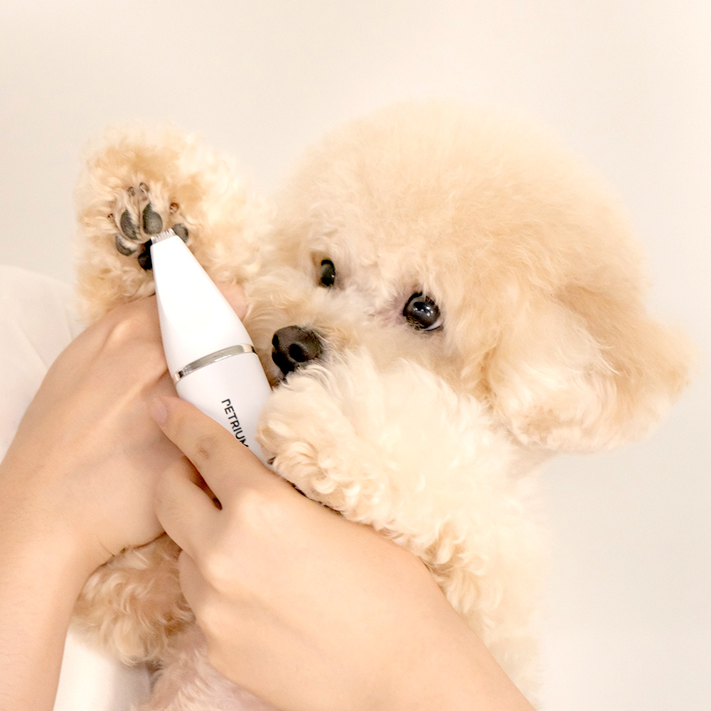 [슈퍼적립 +10%] 펫트리움 쓱쓱 이발기 4in1 강아지 바리깡 클리퍼 애견이발기