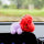 Line Friends BT21 TATA Mini Doll Key Ring