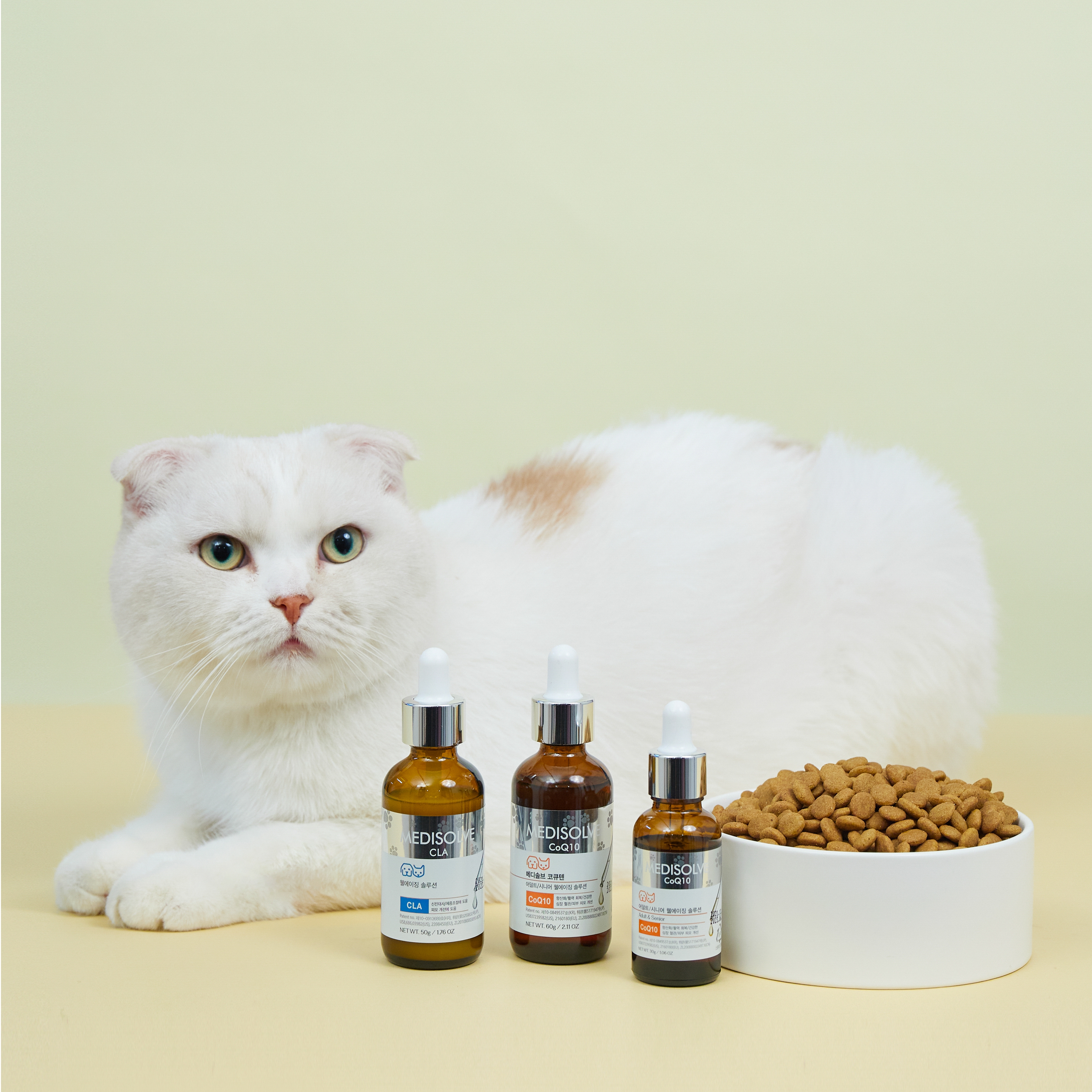 메디솔브 코큐텐 60g 강아지 고양이 영양제 액상 종합 면역 심장 기관지 기침, 1개 이미지 4