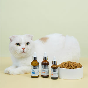 메디솔브 코큐텐 60g 강아지 고양이 영양제 액상 종합 면역 심장 기관지... 솔직 후기 | 실제 사용자 리뷰 총정리 - 상품 이미지 4