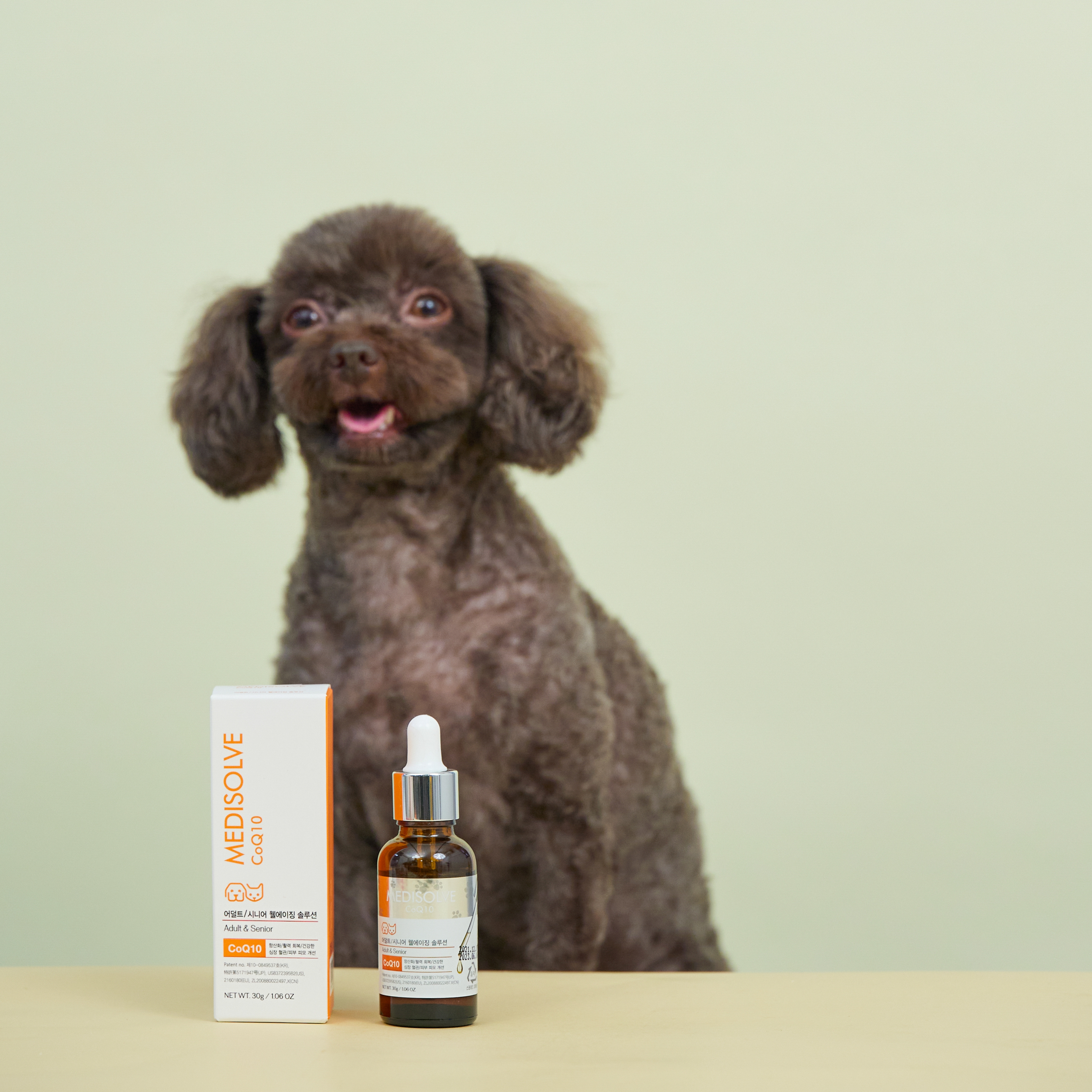 메디솔브 코큐텐 30g 강아지 고양이 영양제 액상 종합 면역 심장 기관지 기침, 1개 이미지 4