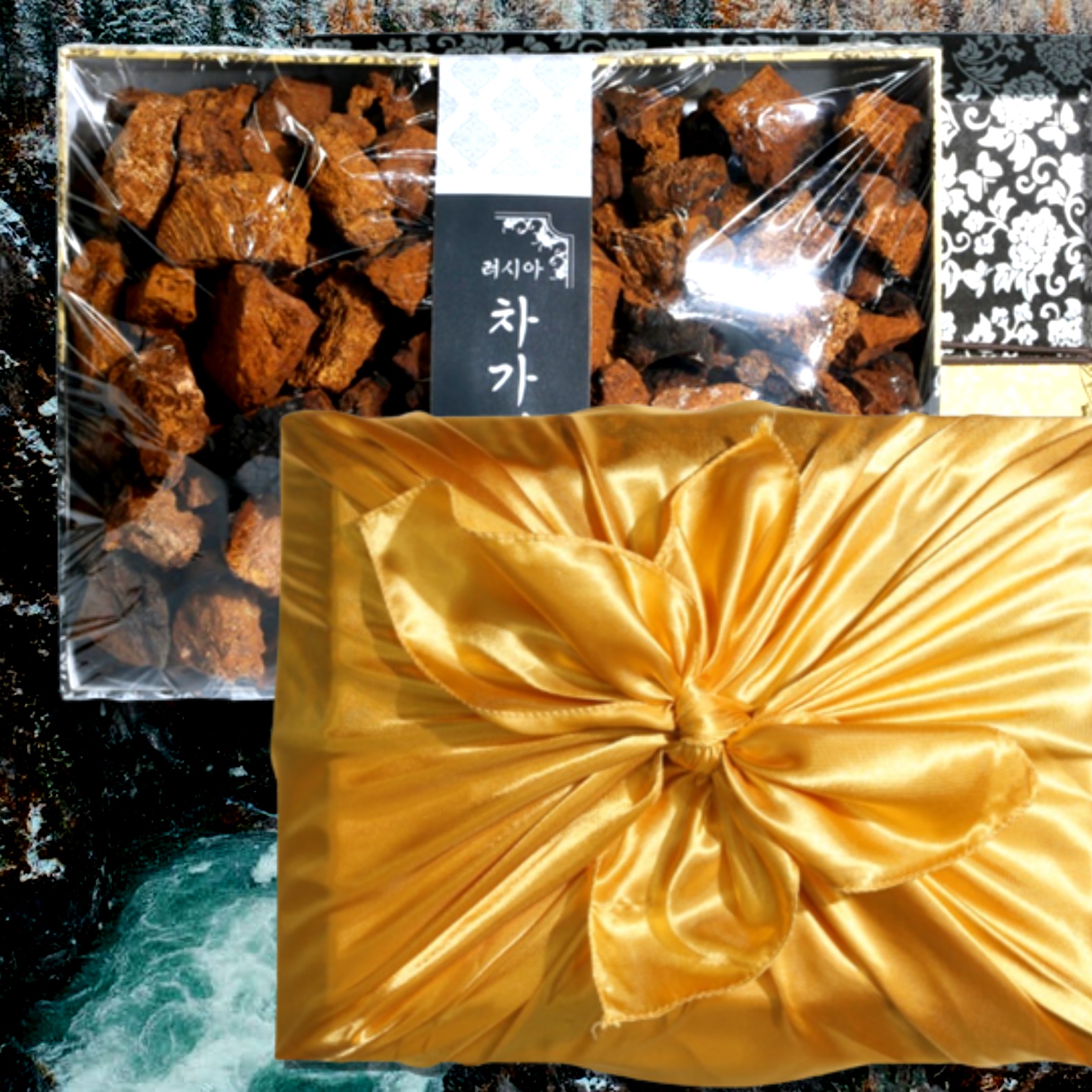 러시아 차가버섯 선물세트 1kg 시베리아 차가버섯 원물