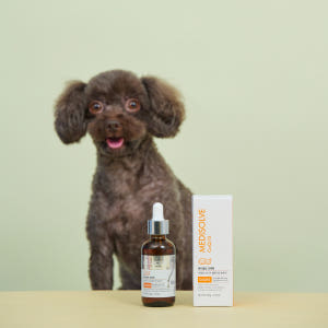 메디솔브 코큐텐 60g 강아지 고양이 영양제 액상 종합 면역 심장 기관지... 솔직 후기 | 실제 사용자 리뷰 총정리 - 상품 이미지 2