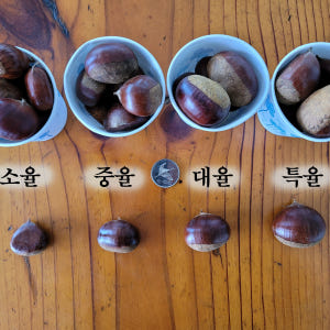 광양 백운산 밤 토종 햇밤 알밤 2kg 3kg 맛있게 먹은 솔직 후기 - 상품 이미지 3