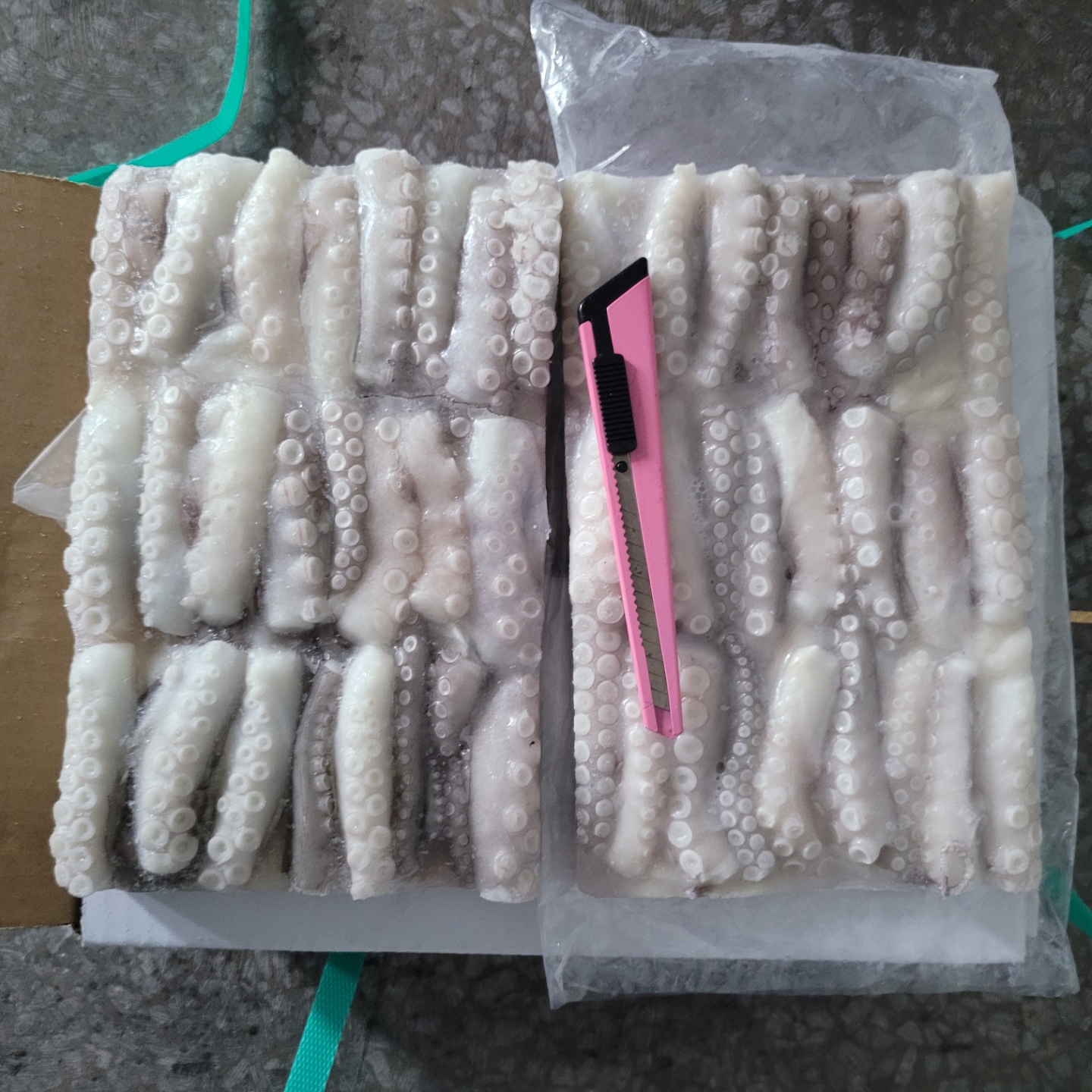 [말레이시아] 절단낙지 3kg L 사이즈  (낙곱새 대표 브랜드 사업장 사용중) - 상세 이미지 4