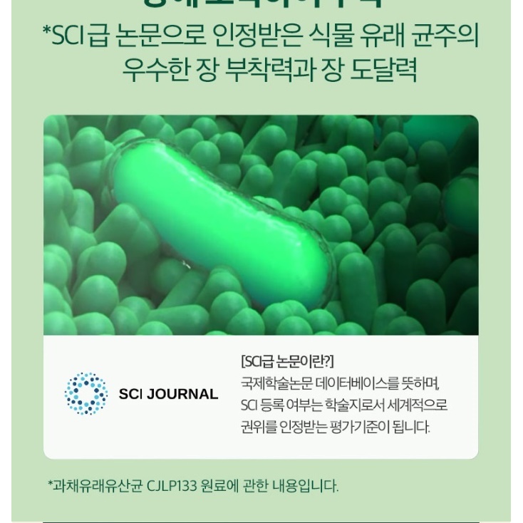 어른 유산균 엄마 수험생 초등 중학생 유산균 고등학생 유산균 - 상세 이미지 4