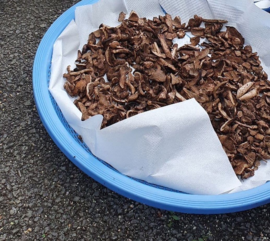 국내산 건능이 국산 말린 건조 능이 버섯 30g 50g 100g - 상세 이미지 5
