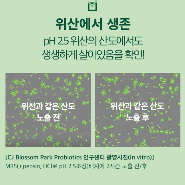 어른 유산균 엄마 수험생 초등 중학생 유산균 고등학생 유산균 - 상세 이미지 5