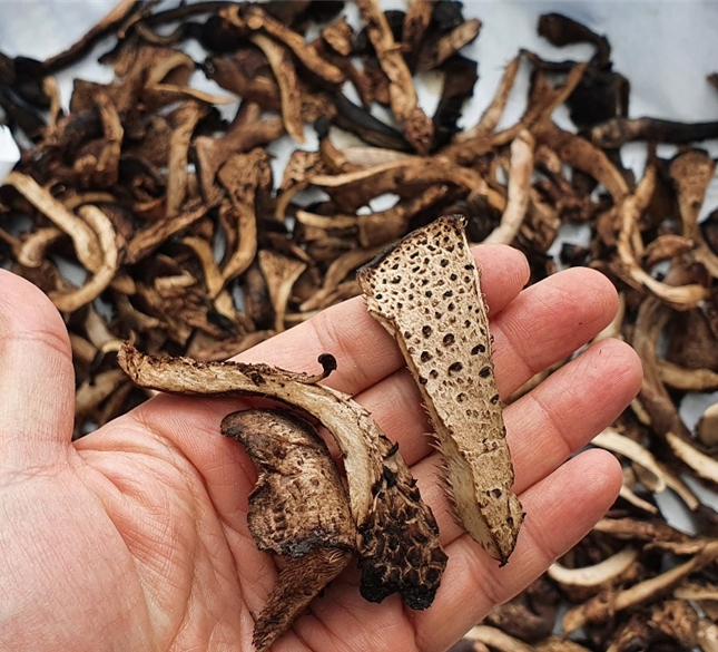 국내산 건능이 국산 말린 건조 능이 버섯 30g 50g 100g - 상품 이미지