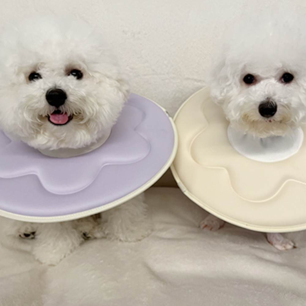 더플래 강아지 깔때기 고양이 가벼운 반반 초경량 넥카라  L