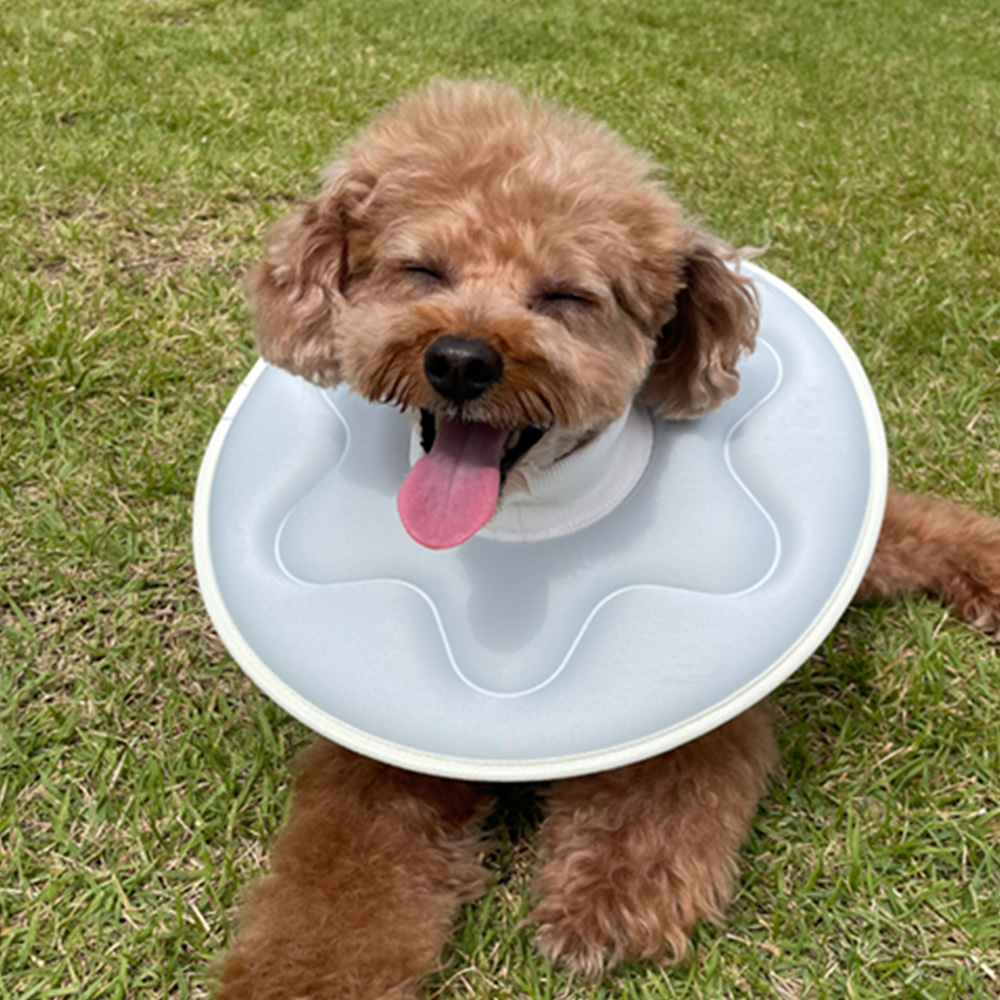 더플래 강아지 깔때기 고양이 가벼운 반반 초경량 넥카라  M