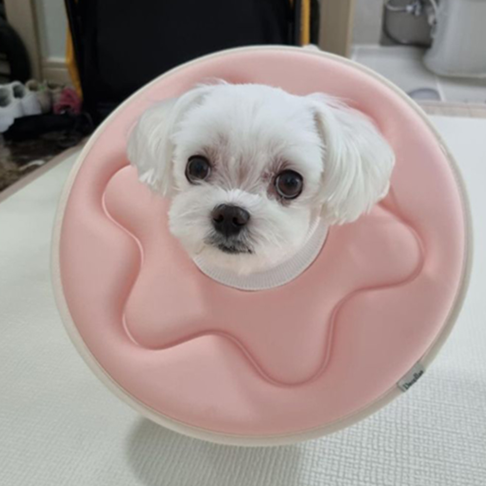 더플래 강아지 깔때기 고양이 가벼운 반반 초경량 넥카라  M