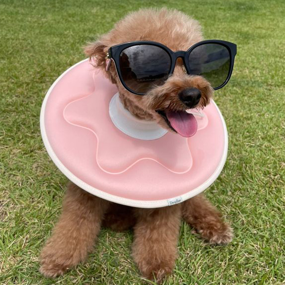 더플래 강아지 깔때기 고양이 가벼운 반반 초경량 넥카라  L