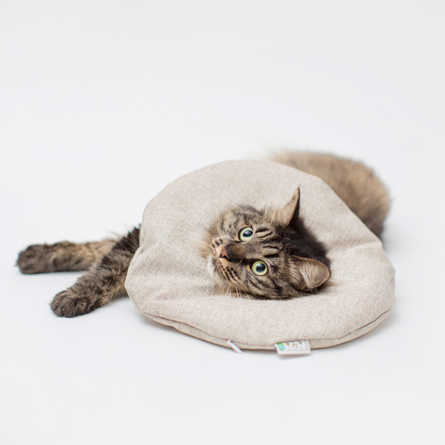 오도넛 고양이 넥카라 생활방수 튜브 XS, S, M, L