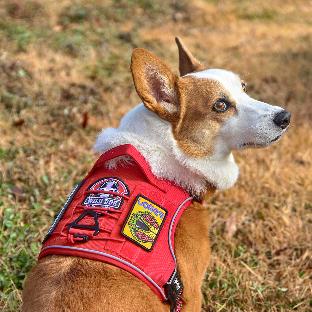와일드독 아웃도어 강아지하네스 앞섬방지 소형견 대형견 레드 S