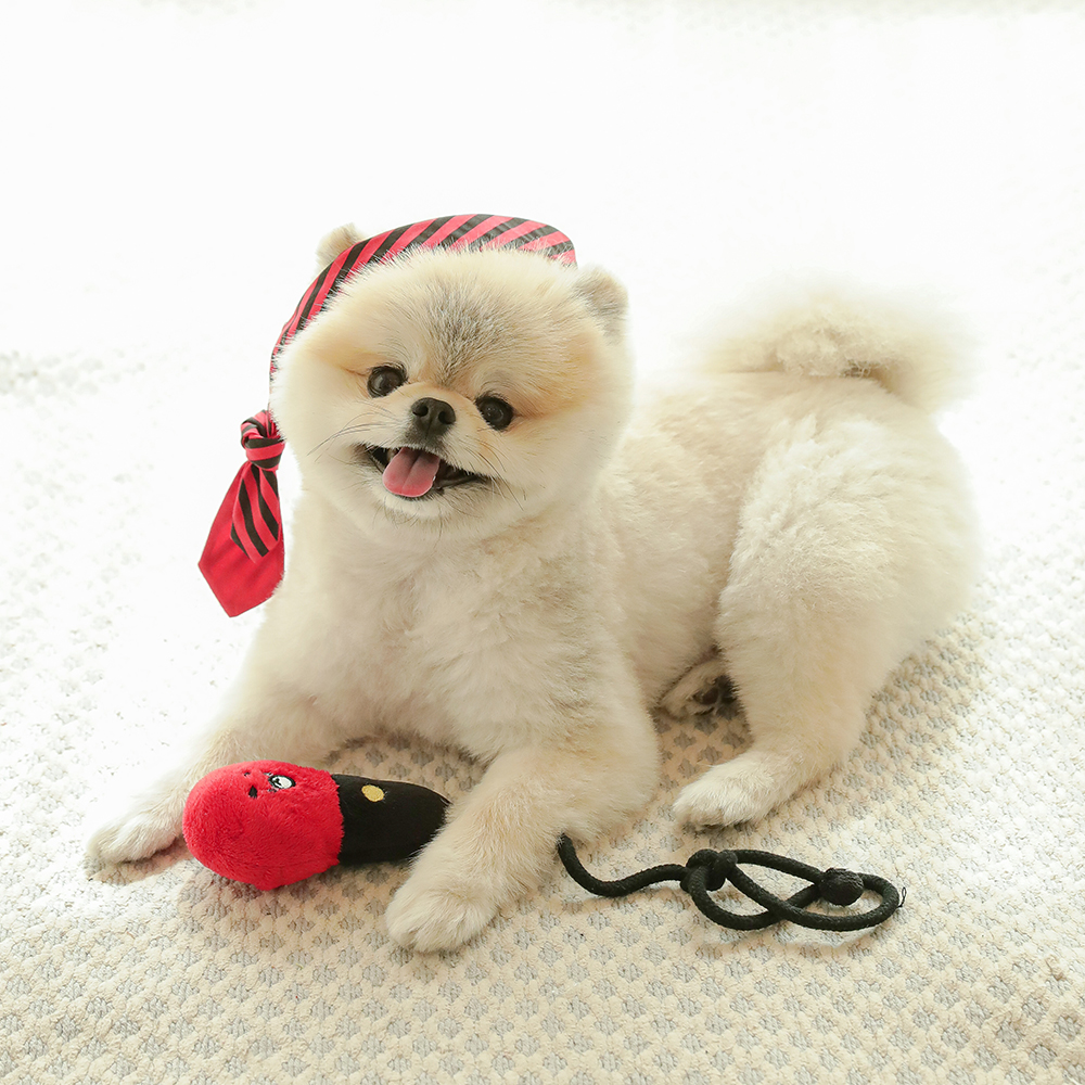 래핑찰리 강아지 분리불안 노즈워크 장난감 노래방 토이