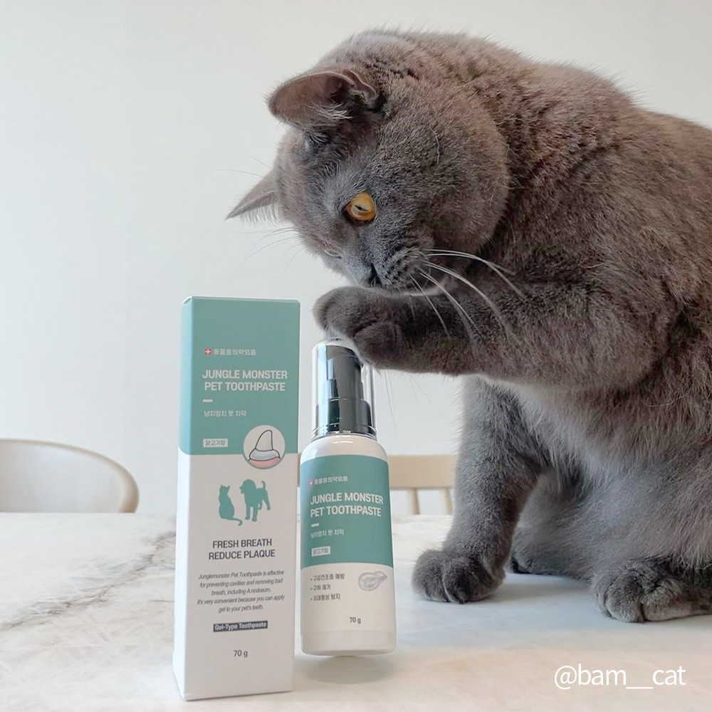 정글몬스터 냥치멍치 반려동물 닭고기맛 치약 70g, 1개 이미지 3