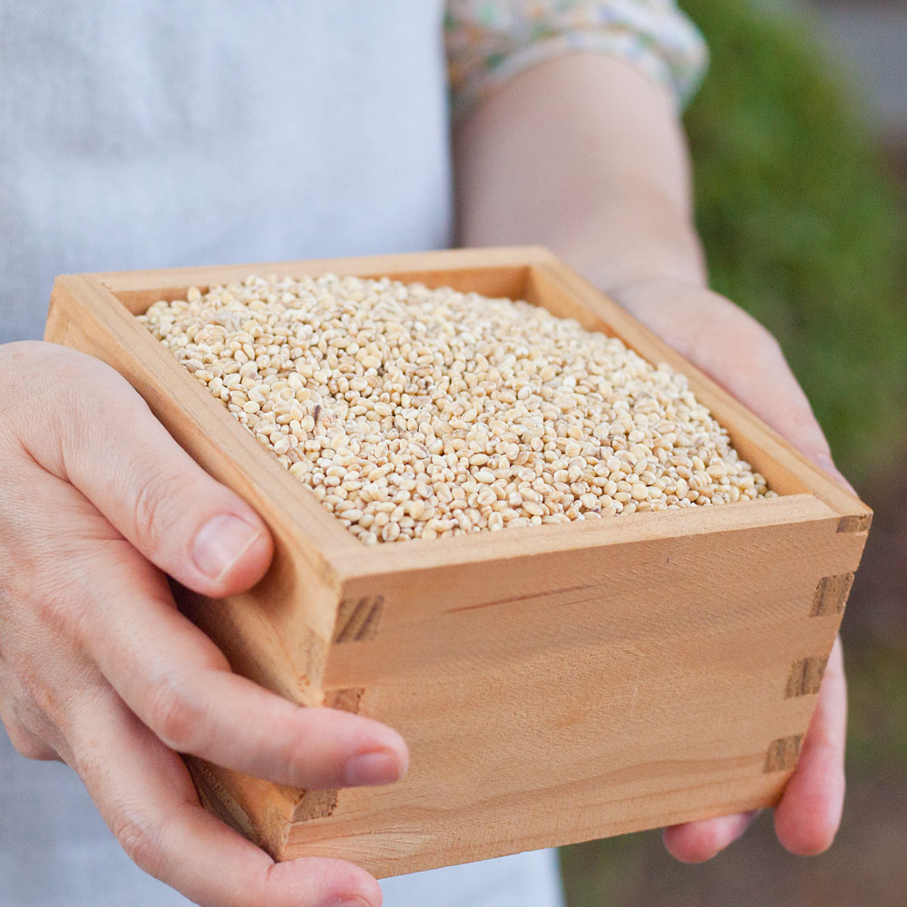 유기농 찰보리쌀 효능 국산 찰보리 1kg - 상세 이미지 2