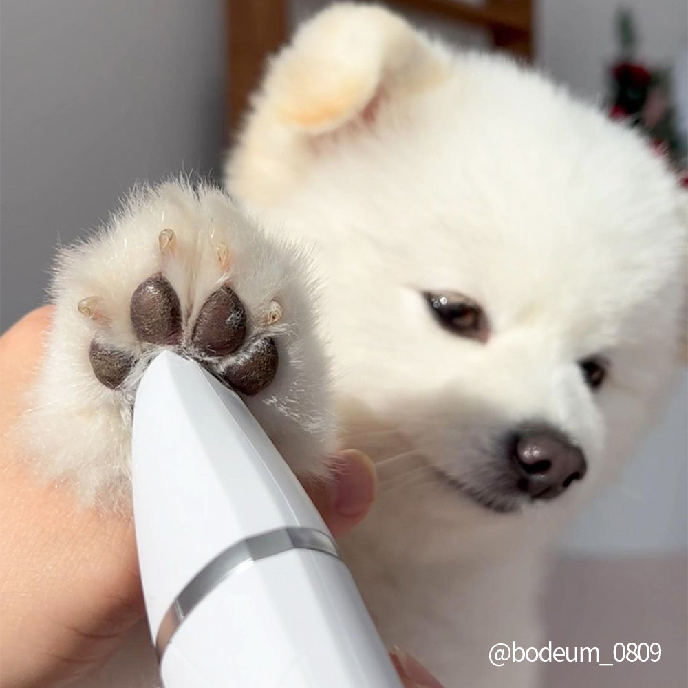 정글살롱 4in1 강아지 애견 바리깡 이발기 멀티트리머 초보자용 발바닥 부분 미용 이미지 3