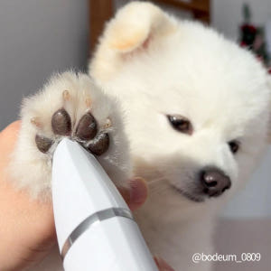 정글살롱 4in1 강아지 애견 바리깡 이발기 멀티트리머 초보자용 발바닥 ... 솔직 후기 | 실제 사용자 리뷰 총정리 - 상품 이미지 3