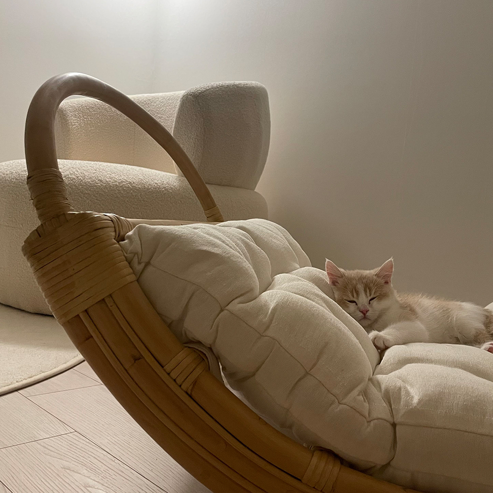 Bebe 고양이 해먹 흔들 침대