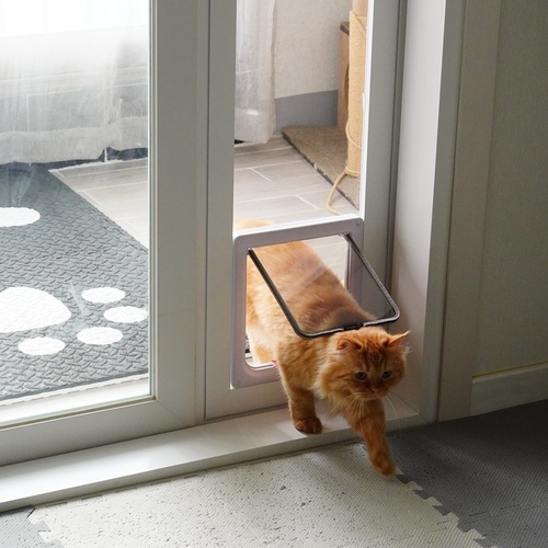 코지윈 고강도 높이조절 강아지 고양이 베란다 펫도어  방묘창 소형1000~1300