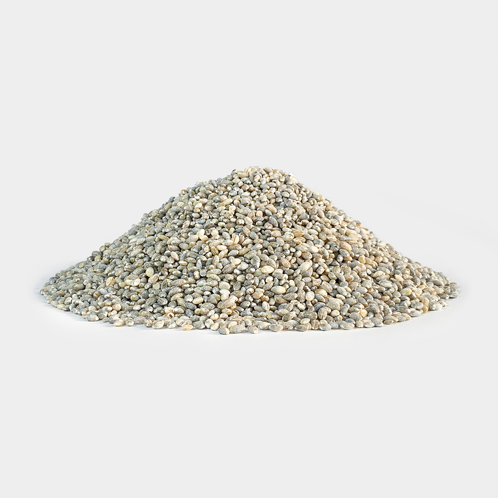 국산 녹색보리 청보리 청맥 1kg - 상세 이미지 2