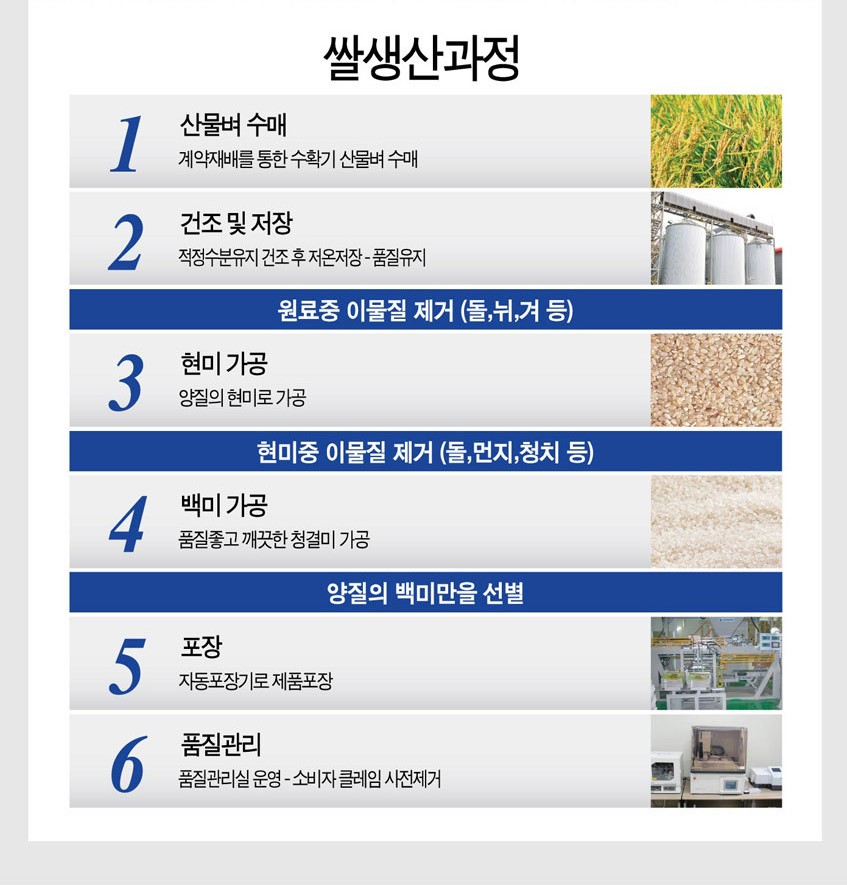 쌀20kg 20키로 진천농협쌀 안심 알찬미 25년 햅쌀 백미 햇쌀 이미지 7