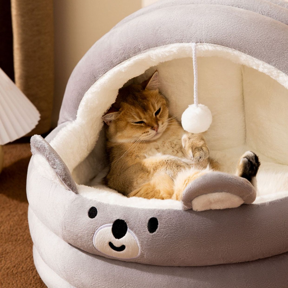 퍼플펫 고양이 숨숨집 강아지 하우스 텐트 애견 집 베어하우스 중형