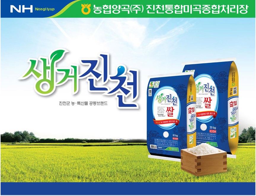 쌀10kg 10키로 진천농협쌀 안심 알찬미 25년 햅쌀 백미 햇쌀 - 상세 이미지 3