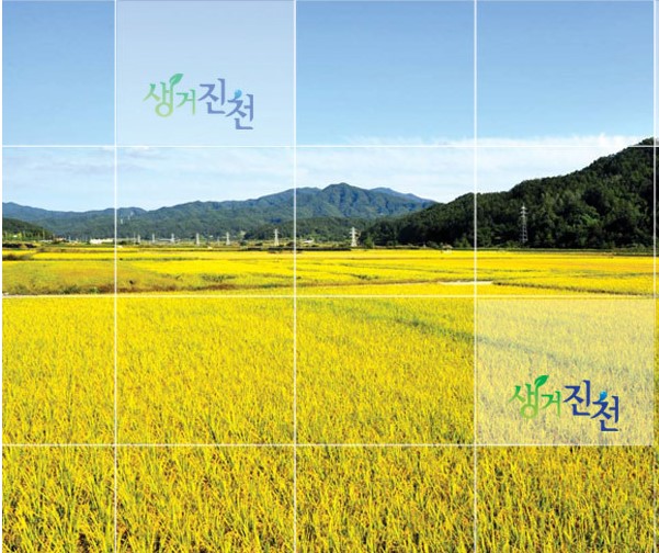 쌀20kg 20키로 진천농협쌀 안심 알찬미 25년 햅쌀 백미 햇쌀 이미지 8