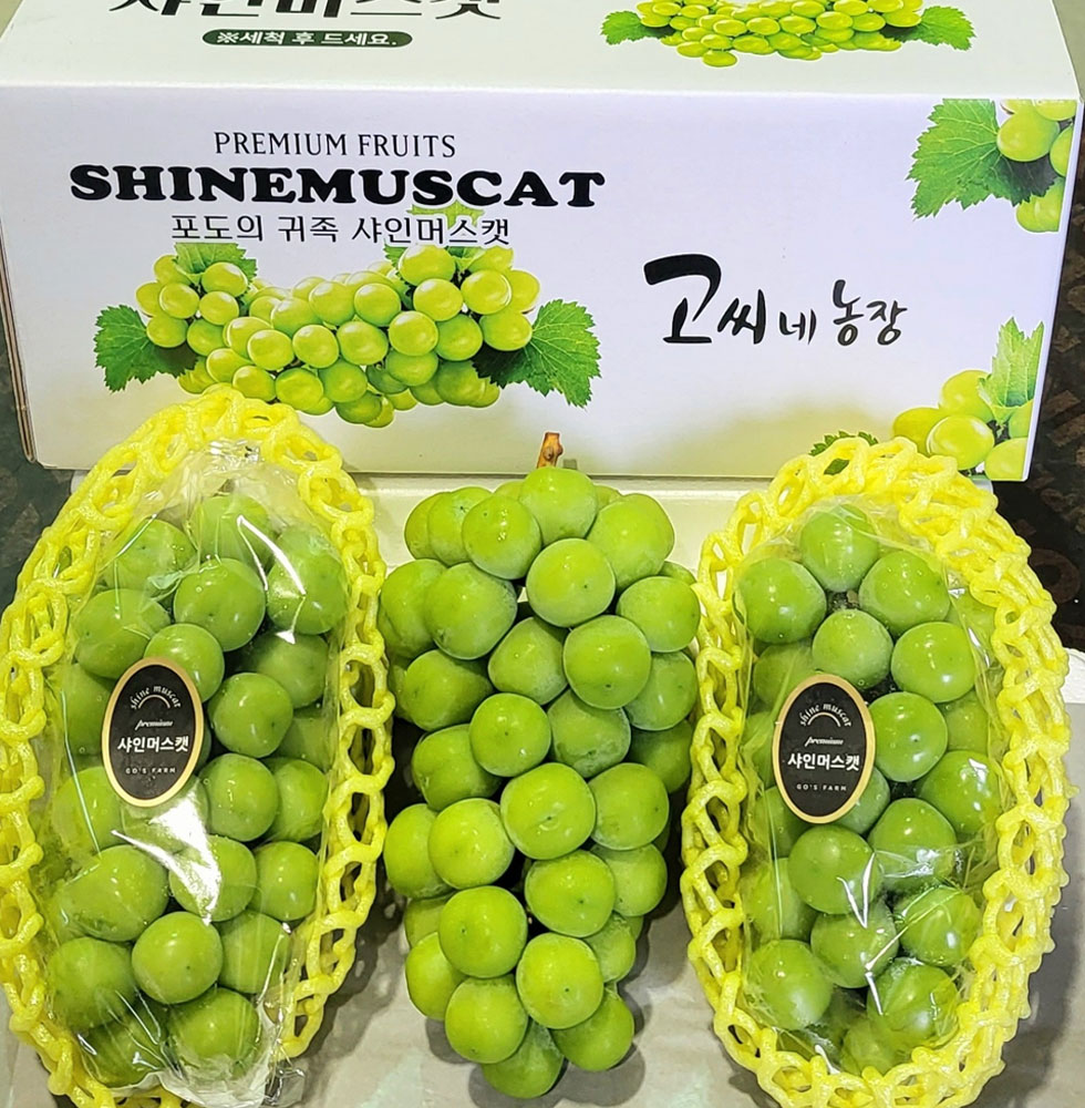 샤인머스켓 고당도 수출용 프리미엄 추석 명절 선물세트 2kg