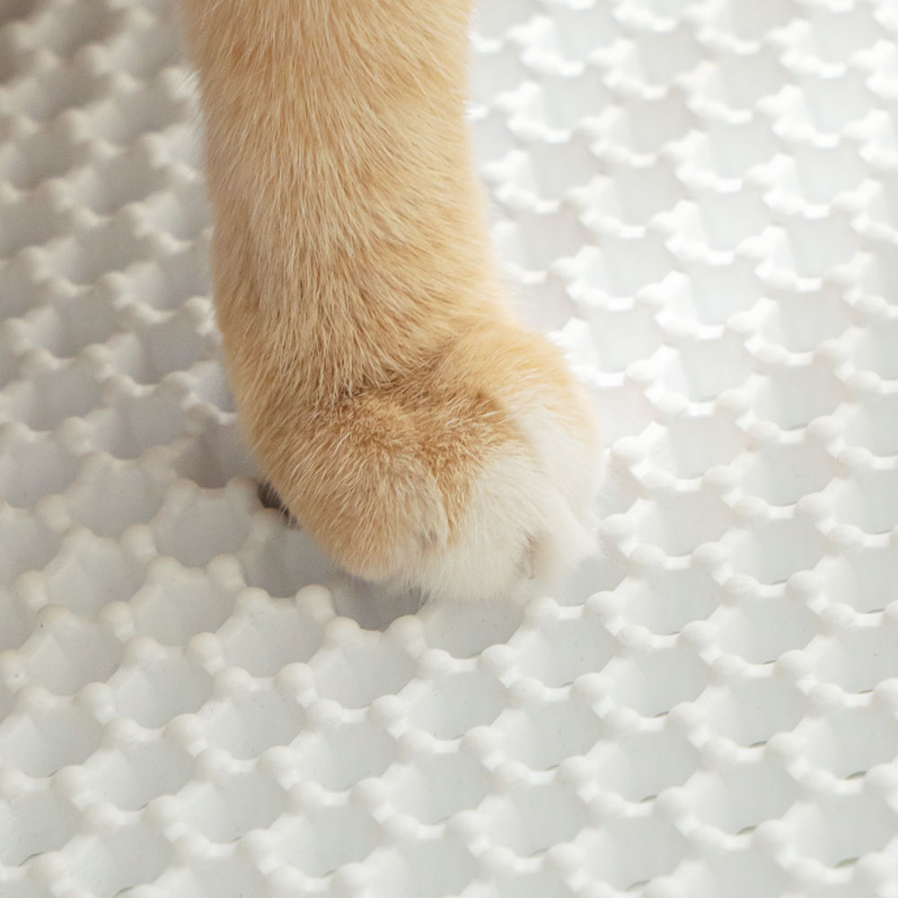 펫트리움 고양이 사막화방지 뽀송매트 고양이 화장실 - 상세 이미지 5