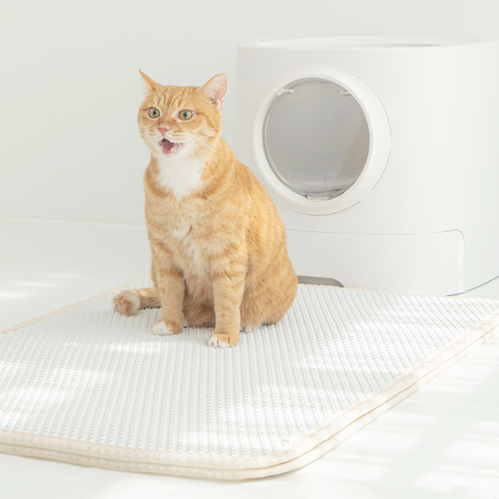 펫트리움 고양이 사막화방지 뽀송매트 고양이 화장실 - 상품 이미지
