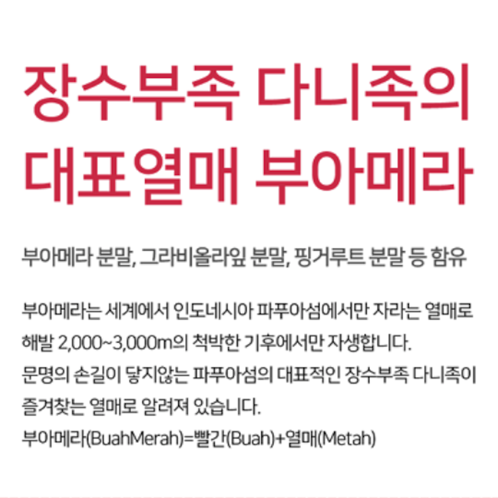 부아메라환 130g 건강환 부아메라열매 파푸아 건강열매 이미지 2