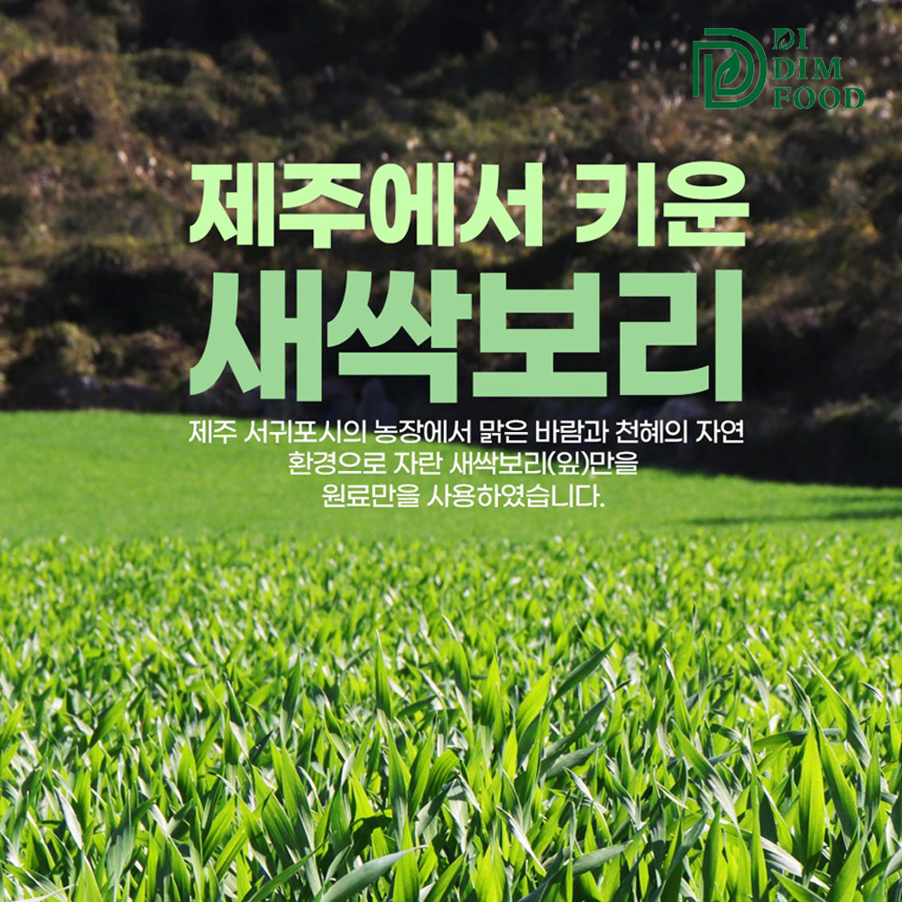 제주 새싹보리 분말 가루 무농약 보리싹 효능 500g - 상세 이미지 3
