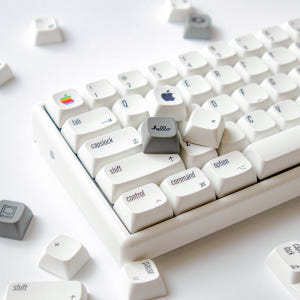 애플 레트로 키캡 XDA PBT 독거미 기계식 키보드 개봉기 | 실사용 후기 - 상품 이미지 2