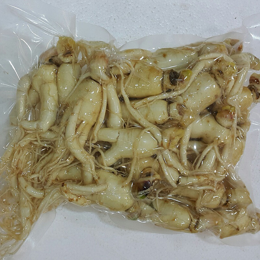 인삼 수삼 금산인삼 오쿠홍삼용 난발삼 파삼 600g 맛있게 먹은 솔직 후기 - 대표 이미지