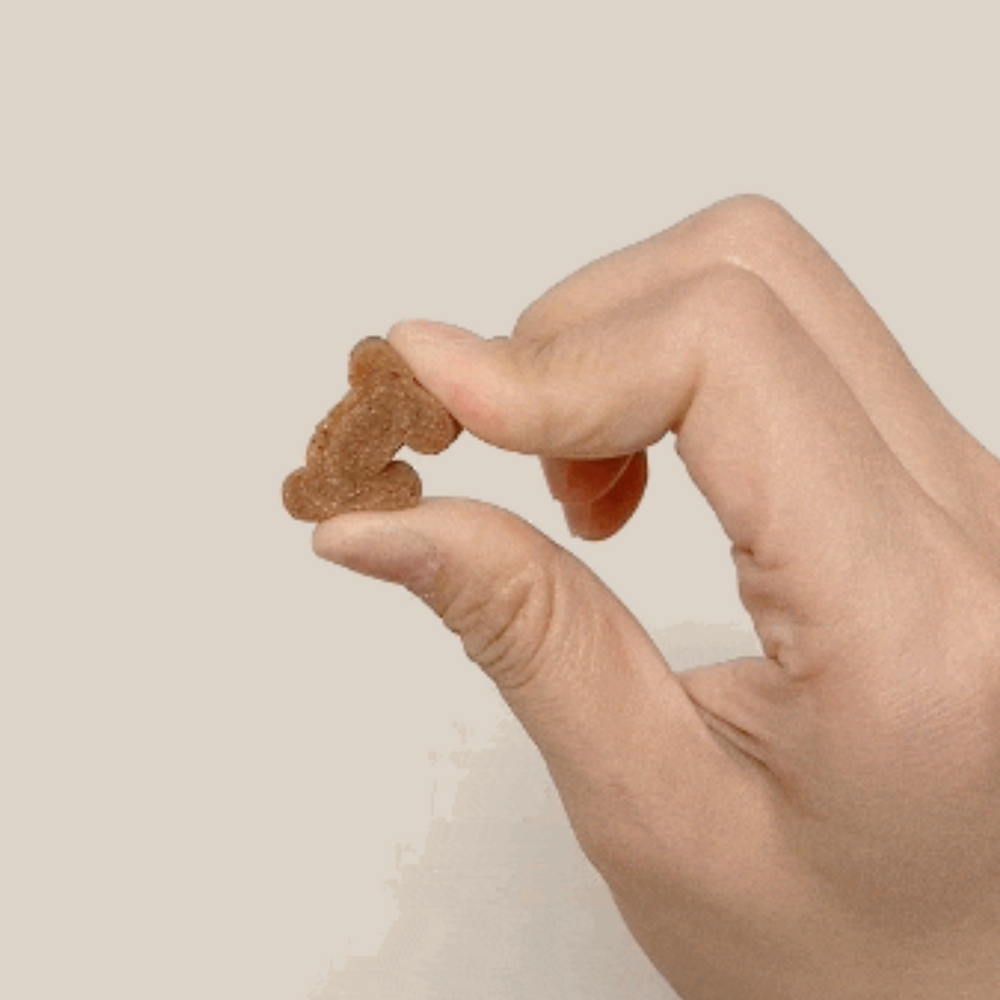 강아지 관절 영양제 슬개골 탈구 약 조인트