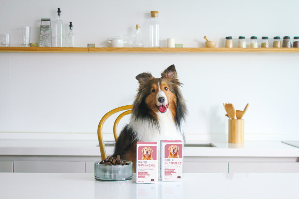 종합 건강 관리