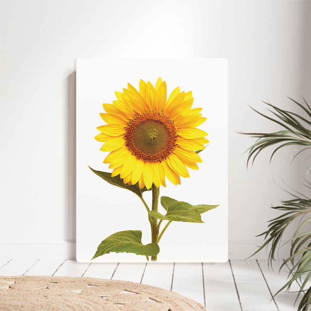 오홀리브 접이식 액자테이블 해바라기 9가지 소(60x40) 썬플라워 27cm다리