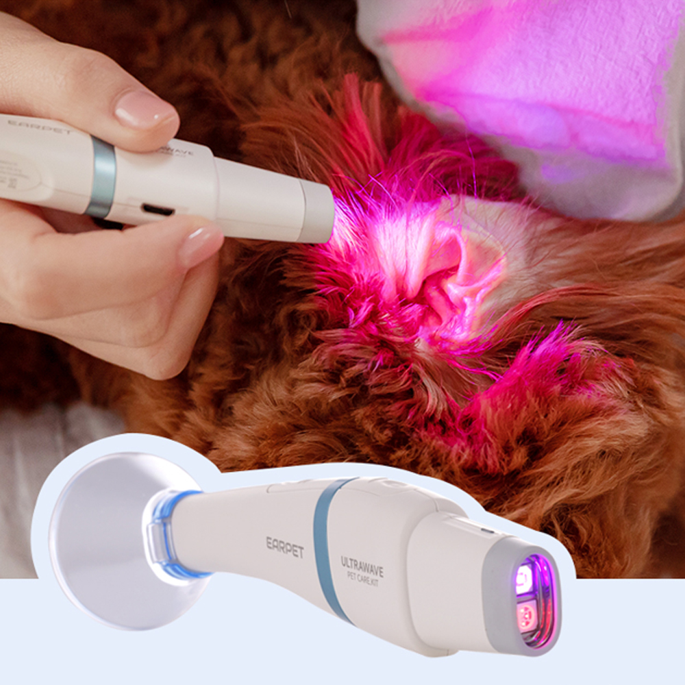강아지 고양이 귓병 피부병 치료기 LED파장의료기기 귀청소 외이염 중이염 귀염증 귀세정제 - 상세 이미지 3