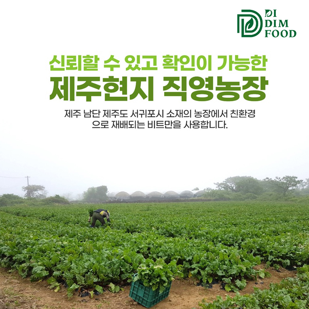 제주 무농약 레드비트 분말 비트 가루 파우더 500g 3개 - 상세 이미지 3