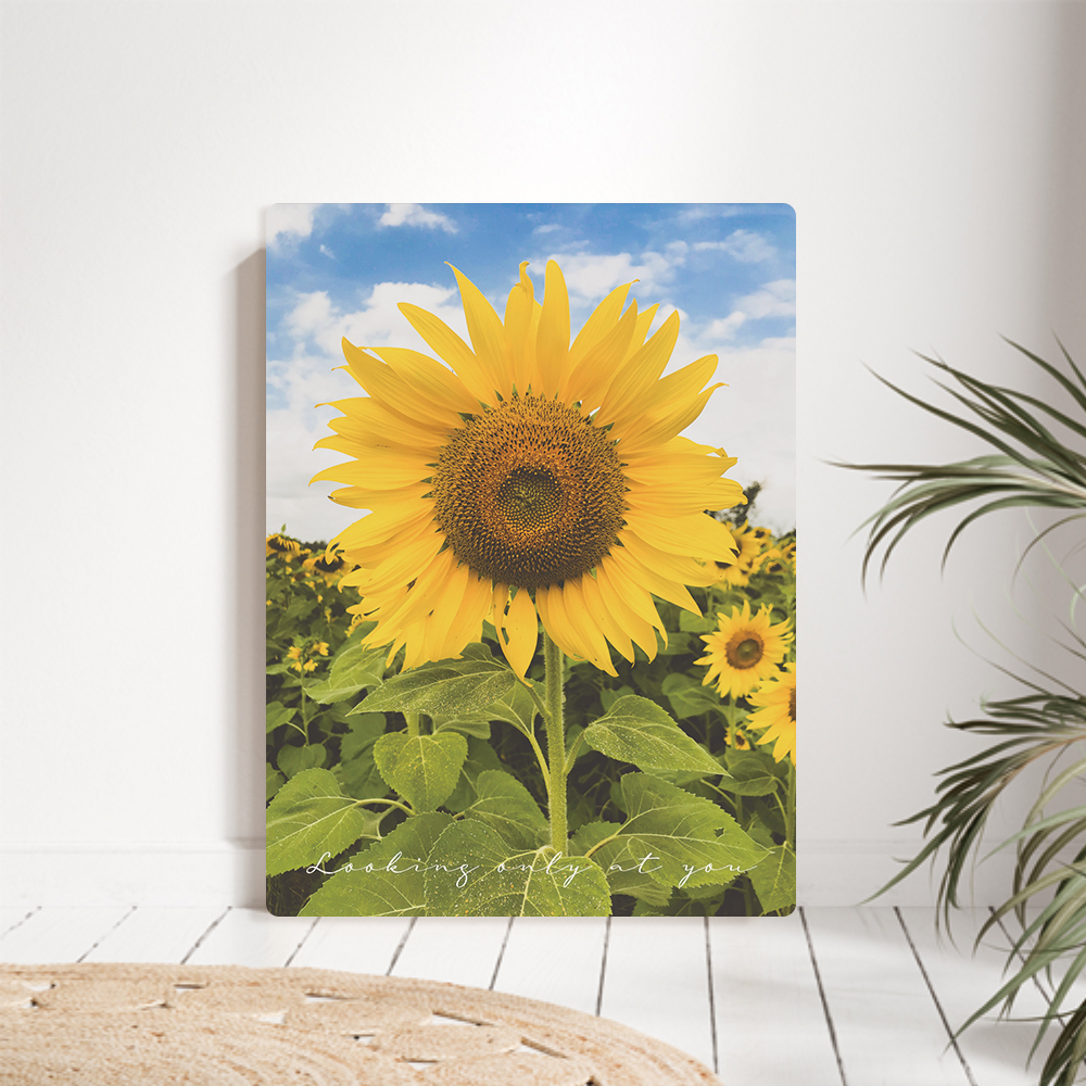 오홀리브 접이식 액자테이블 해바라기 9가지 소(60x40) 썬플라워 27cm다리