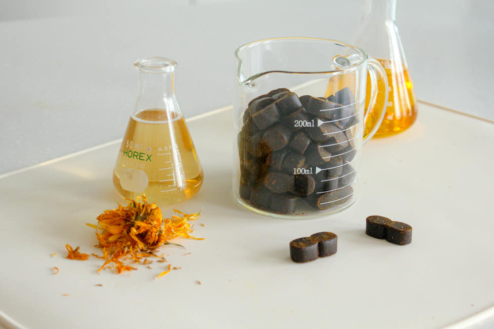 프롬더셀 시니어 에이징