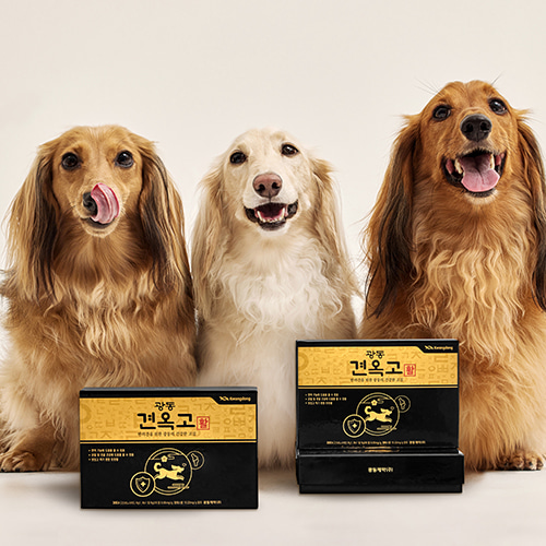 광동 견옥고 활 강아지 관절 슬개골 강화 도움 30개입, 1개