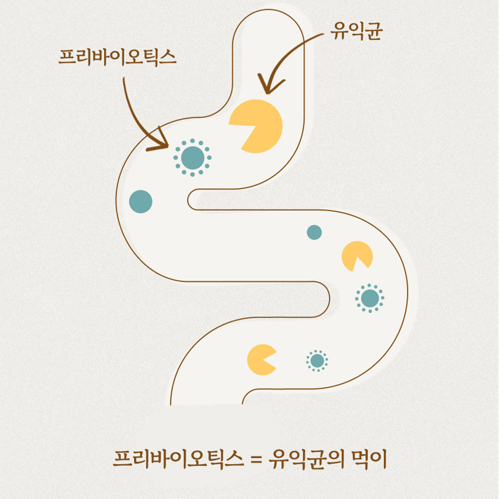 프락토올리고당 255ml 2병 저칼로리 설탕 대체 천연 당 비정제설탕 - 상세 이미지 5