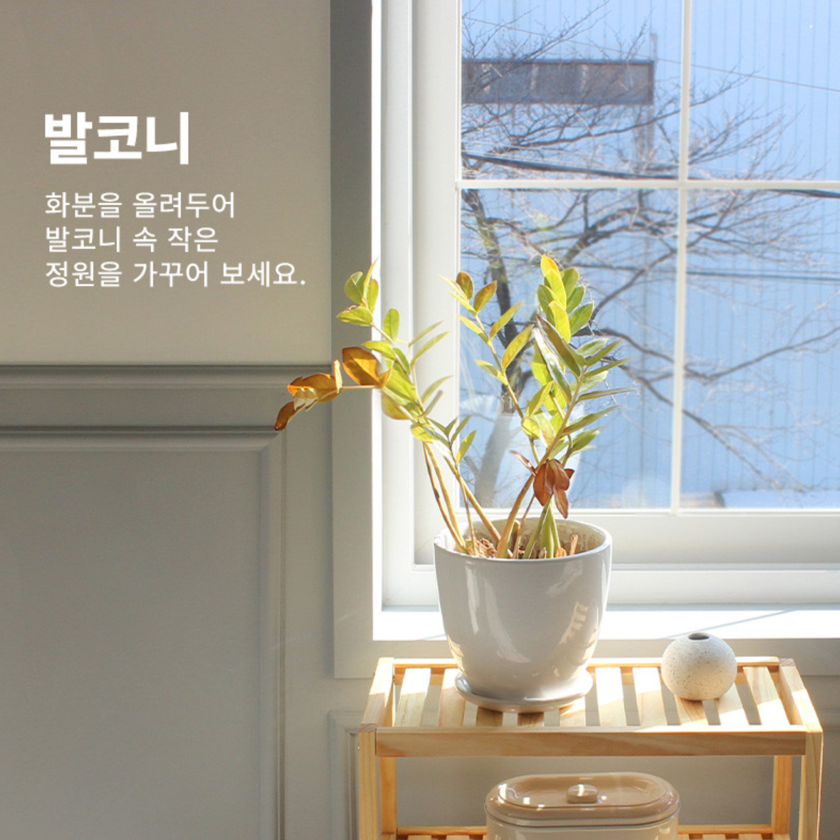 미니 신발장 2단 맞춤 업소용 회사 학원 신발장 소형 거실 신발장